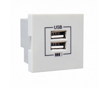 Розетка двойная зарядка USB белая 45439 SBR
