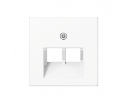 Крышка (накладка) для двойной компьютерной розетки  A569-2BFPLUAWW Jung eco profi