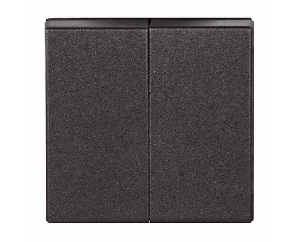 Клавиша 2-кл для выключателя или кнопки антрацит EP495AN Jung eco profi