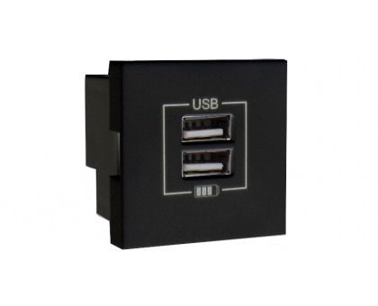 Розетка двойная зарядка USB черный матовый 45439 SPM
